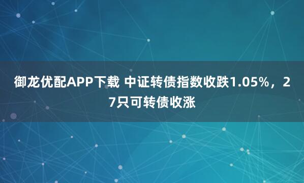 御龙优配APP下载 中证转债指数收跌1.05%，27只可转债收涨